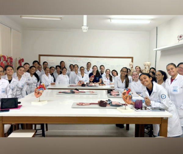 Fotos: Divulgação.