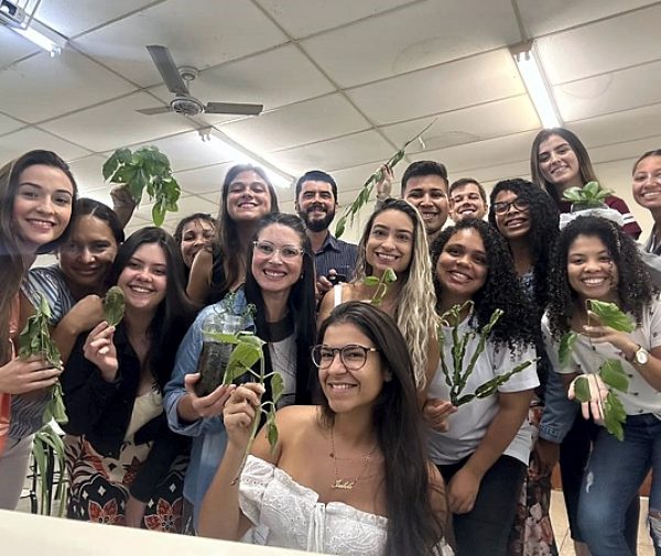 Fotos: Divulgação
