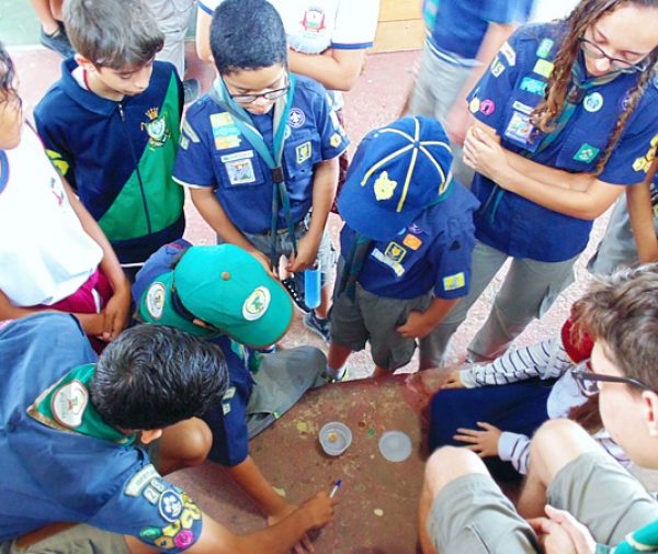 Foto: Divulgação